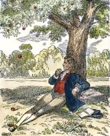 Newton watching an apple fall from a tree