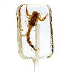 scorpion-lollipop.jpg