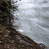 A fast-running woodland stream